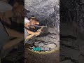 Detik-detik Menambang Batu Bara Secara Manual #pertambangan #pejuangrupiah #batubara #coalmining
