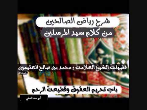 424 شرح رياض الصالحين حديث 336 ألا أنبئكم بأكبر الكبائر