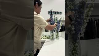 Delphiniums