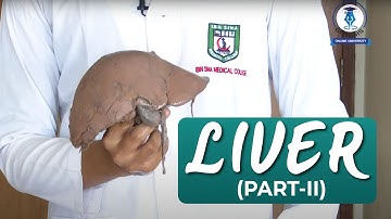 Liver Part-2 | Sadman Sakib | Viscera Bangla Demo Video Series | GENESIS ONLINE UNIVERSITY