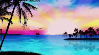 Jarico Paradise