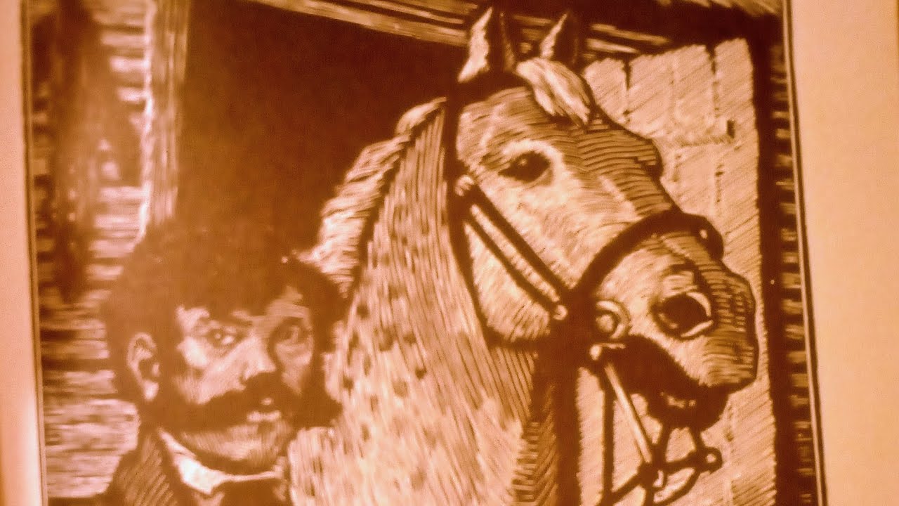 Лес и степь