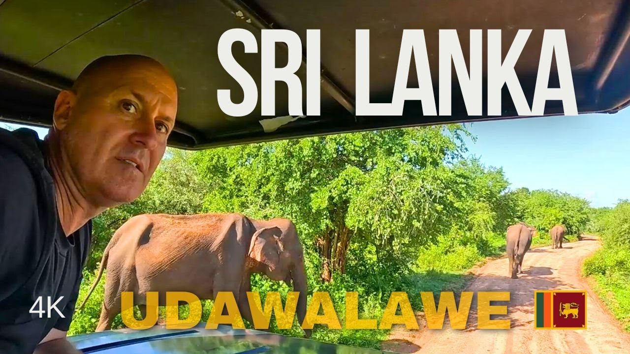 UDAWALAWE NATIONAL PARK Safari - Sri Lanka 4K