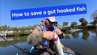 How to save a gut hooked snook #fishingtechniques #fish #fishingmethods #fishing #inshore #snook 