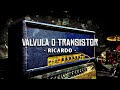 Válvula o Transistor - Equipos Ricardo Mollo en Obras