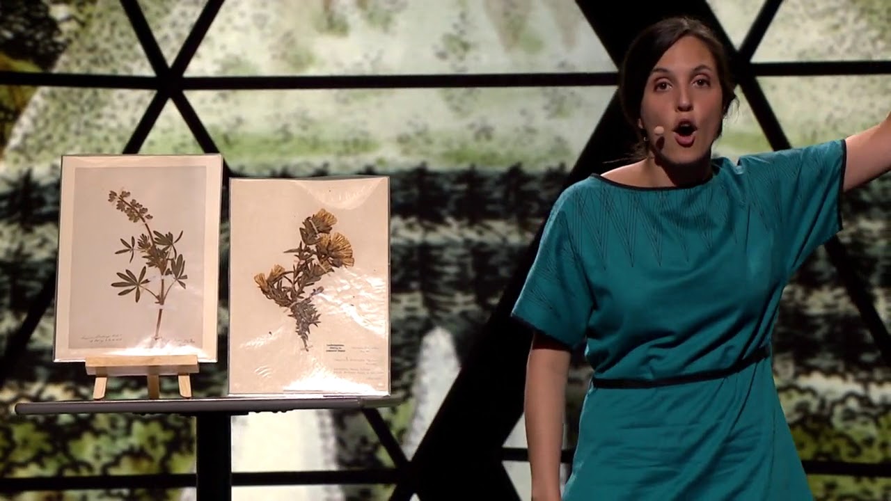 Video fra kåringsshowet