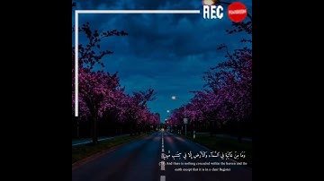 {وَإِنَّ رَبَّكَ لَيَعۡلَمُ مَا تُكِنُّ صُدُورُهُمۡ} القارئ اسلام صبحي - Islam Sobhi 🎧💙