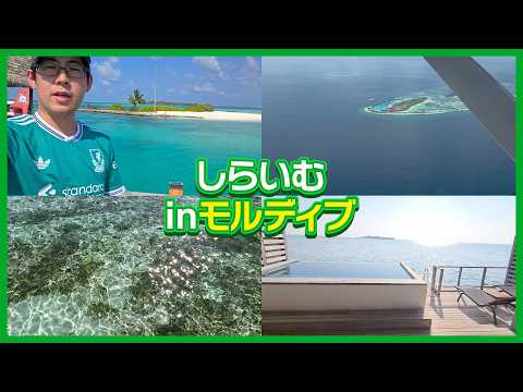 白井悠介、モルディブを満喫する。