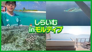 白井悠介、モルディブを満喫する。
