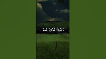 وعسي ان تكرهوا شيئا وهو خير لكم  القارئ فارس عباد #قرآن