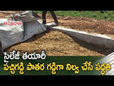 సైలేజీ తయారీ | మేతను సైలేజ్‌గా మార్చడం