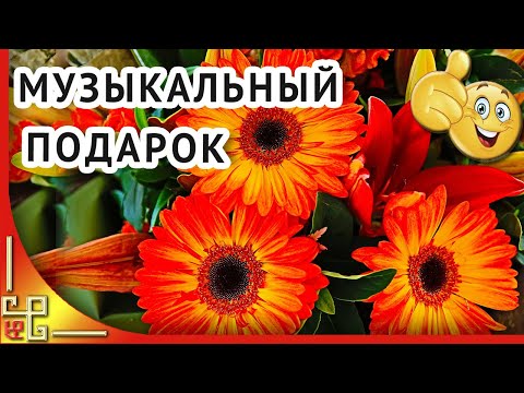 Поздравление с днём рождения женщине. Осеннее поздравление шикарной женщине. Музыкальный подарок