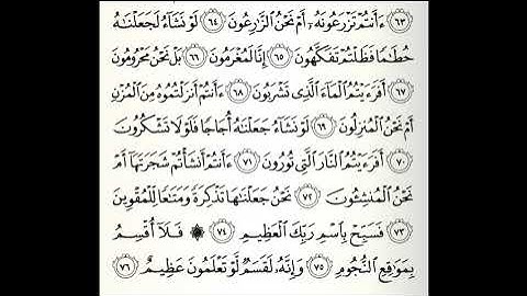 تلاوات مختارة سورة الواقعة القارئ ناصر علي الغامدي