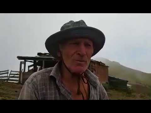 მოხალისე, აბასთუმნის ხანძარი