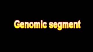 What Is The Definition Of Genomic segment - Medical Dictionary Free Online Terms