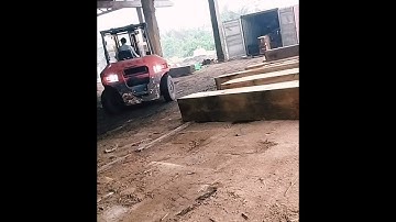 đóng gỗ vào container như thế nào ( load wood container)