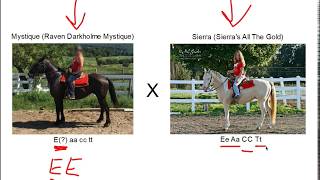 Genetics: Mystique's Baby