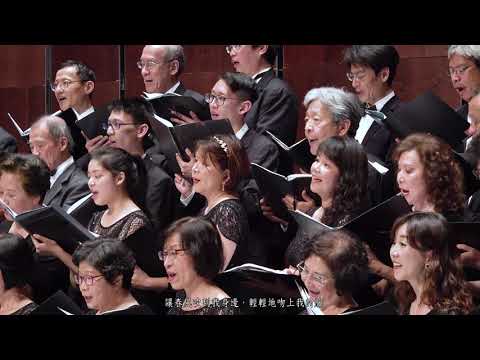 春風吻上了我的臉