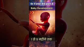 पेट में बच्चा कैसे बढ़ता है  - How Baby Grows in the Womb - 1 to 9 Months, Baby Development baby