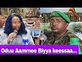 Qajeelfama Daldalaa Magaala Finfinne Haarawa Fi Buqqaatota Tigray Deebisuuf Tarkaanfi Fudhatame Qajeelfama Daldalaa Magaala Finfinne Haarawa Fi Buqqaatota Tigray Deebisuuf Tarkaanfi Fudhatame