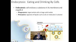 BIO 201 Chapter 6 Lecture