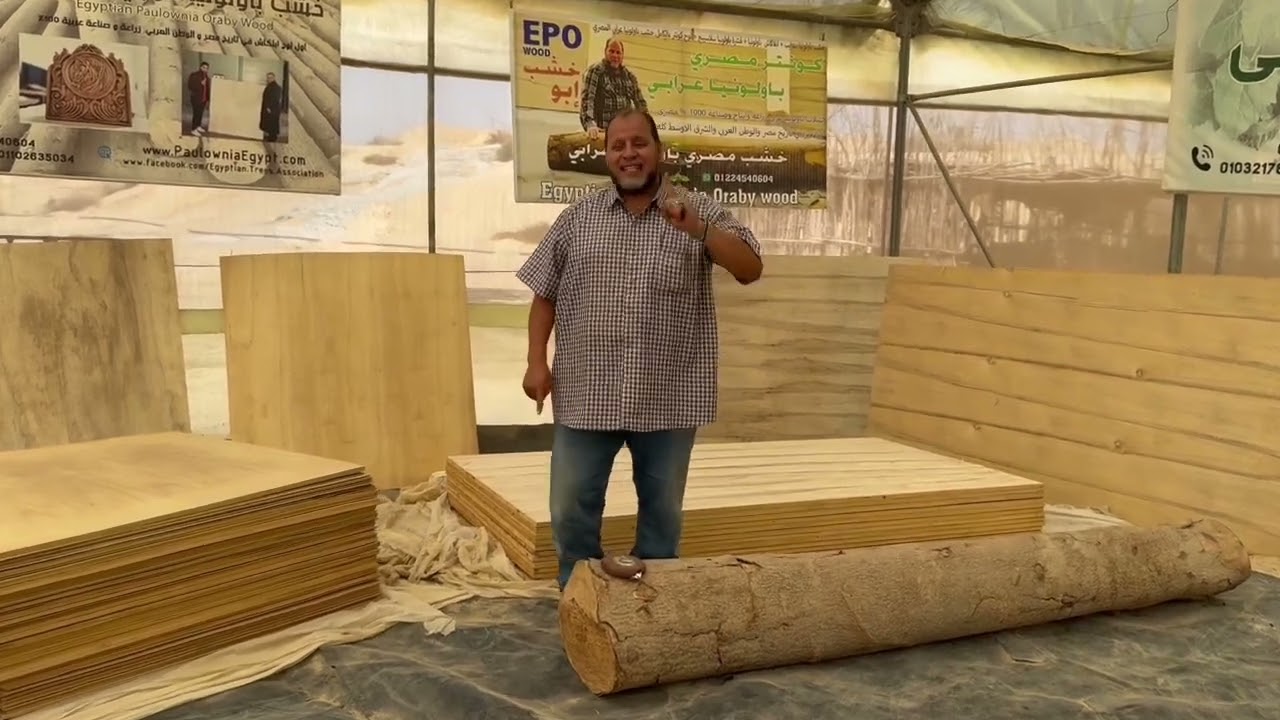 عيوب خشب باولونيا عرابي