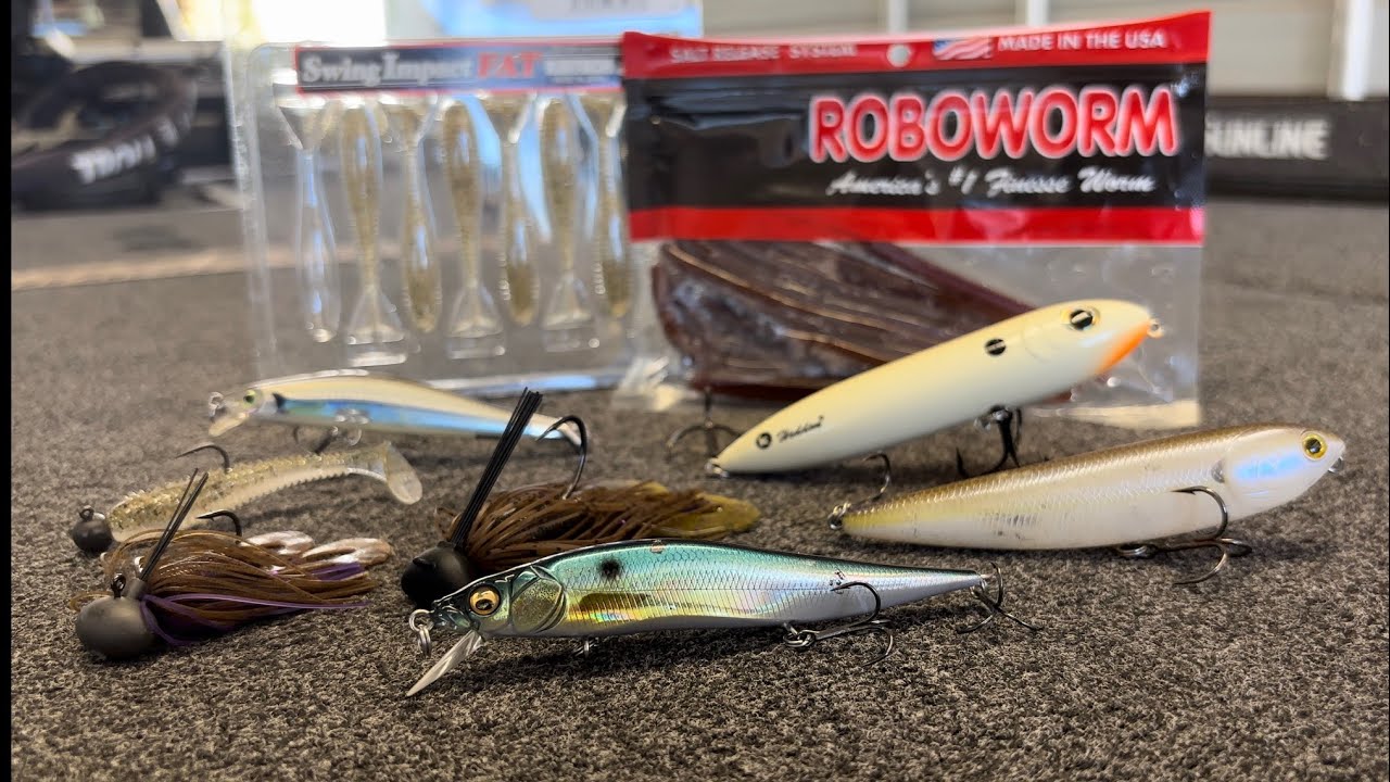 Top 5 Lures for November Bass Fishing • What’s Working Right Now!