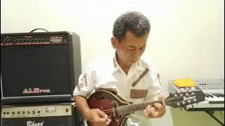 Cover Mandolin