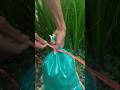 Fast Sack Tie Hack