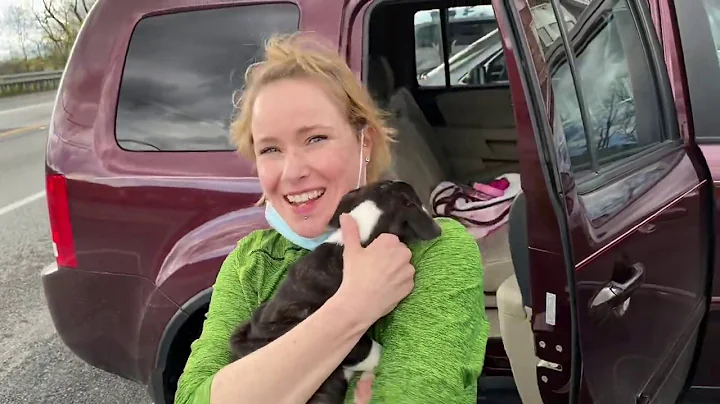 First Time Meeting Darla (April 13, 2020)