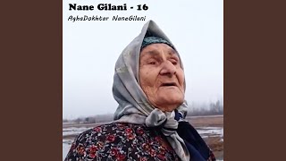 Nane Gilani - 16