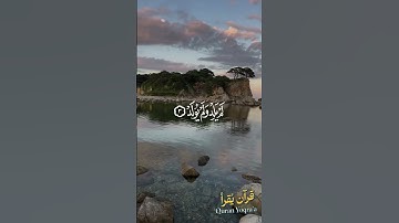 سورة الإخلاص #القرآن_الكريم #احمد_النفيس #راحة_نفسية #اكسبلور #تلاوة_خاشعة #لايك #تلاوات