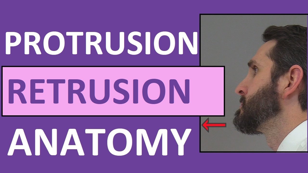 excursion definition anatomy