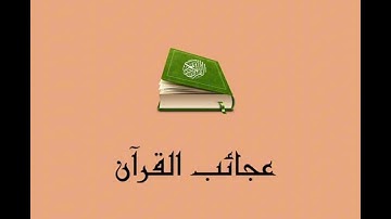 ( سورة القيامة ) للقارئ / عبدالملك الحسين