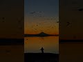 Death Bed (Coffee for Your Head) - Powfu | lyrics | aesthetic | english songs | slowed | Speed
