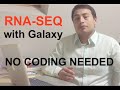 Tutorial: RNA-Seq Workflow with Galaxy | No Coding Involved (Step-by-Step)