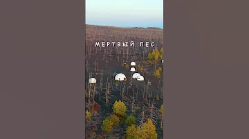 Топовые места Камчатки. Толбачик, Мертвый лес, Долина великанов.