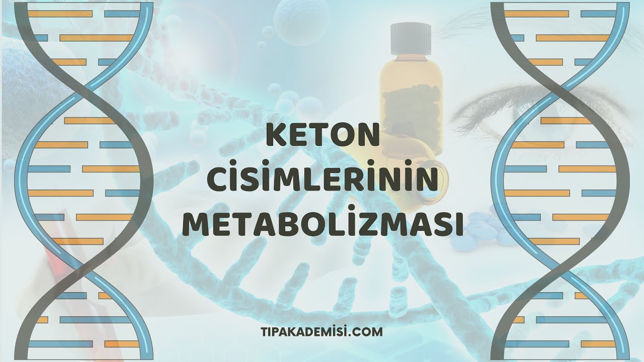 tipakademisi.com - Lipidler / Keton Cisim Metabolizması Konu