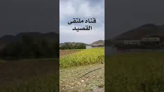 قصيده ابوزبن العومري مرسله للشاعر صالح السوادي