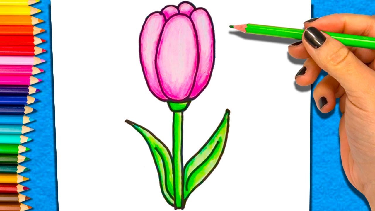 Como Dibujar Y Colorear una Flor | Dibujo de Flor para Colorear - thptnganamst.edu.vn