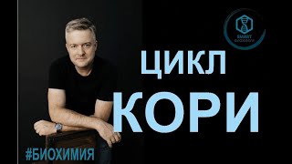 Биохимия: цикл Кори