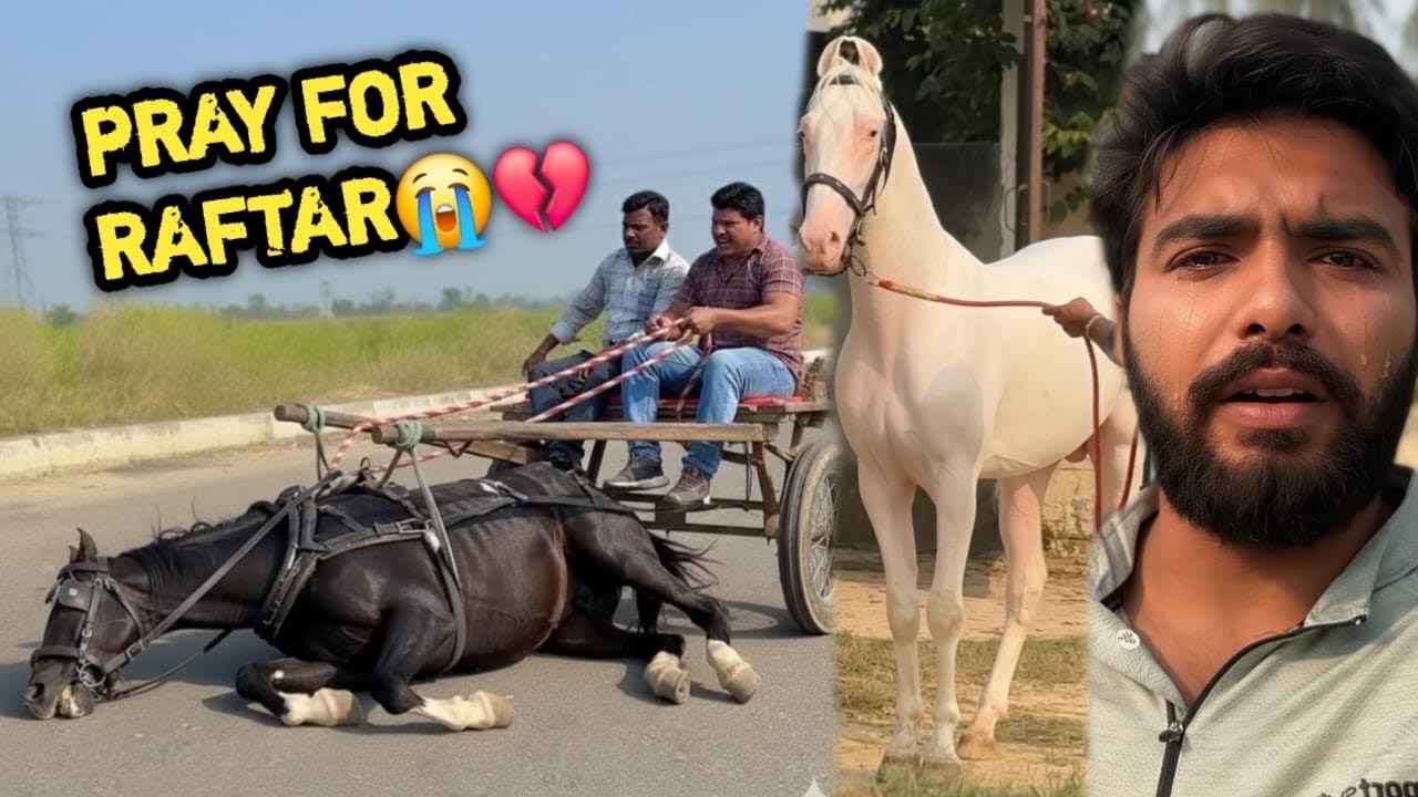 Serious Accident Of Raftar 🙏🏻🥺Main Road Pr Raftar Tange Ko Le Kr Gir Gya 😭Injured 💔Pray 🙏🏻