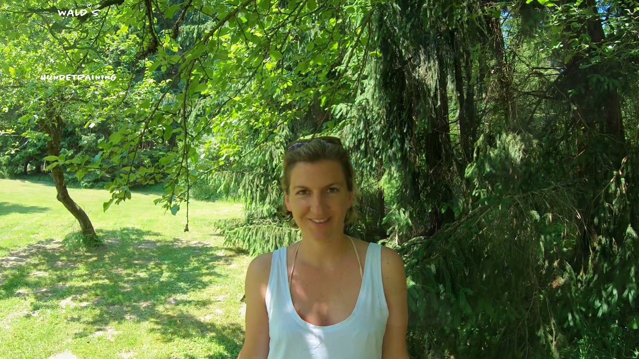 In 3 Schritten zum Handtarget