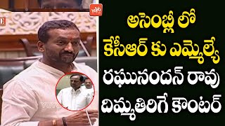 MLA Raghunandan Rao Strong Counter to CM KCR On Roads Issue In Dubbaka | TS Assembly Live |YOYO TV