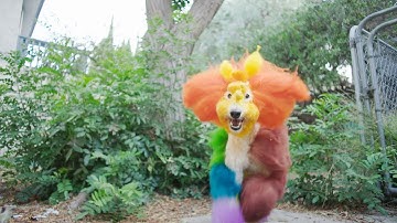 Dan Deacon - Adriane in Wonderland (From 