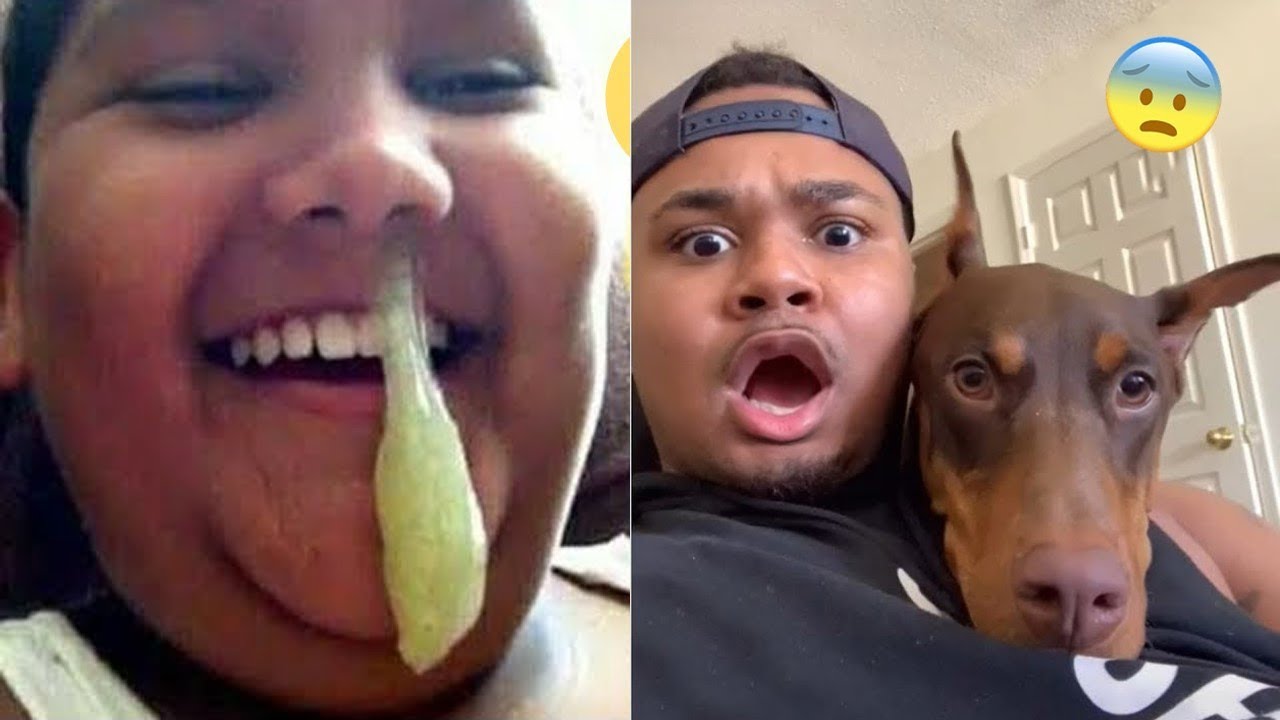 ️ cutest tushy shake ever!! YouTube