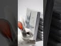 Coelhinho #rabbit #grok #bunny #cat #cat #lifeisbutadream #iasmotivation