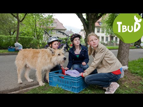 Hundefänger (Folge 17) | Tiere bis unters Dach | SWR Plus