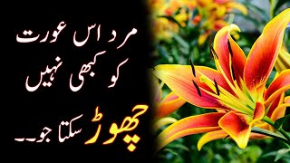 Motivational Urdu Quotes About Life Rumi Quotes In Urdu Sunehri Batain