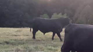 IMG 5538